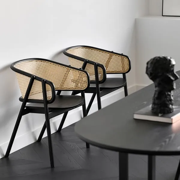 The Luxe Italian Opulence Oasis Oasis Oasis Oasis Dining Chair