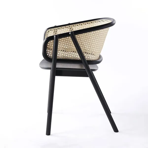 The Luxe Italian Opulence Oasis Oasis Oasis Oasis Dining Chair